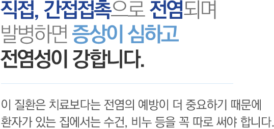 직접, 간접접촉으로 전염되며 발병하면 증상이 심하고 전염성이 강합니다. - 환은 치료보다는 전염의 예방이 더 중요하기 때문에 환자가 있는 집에서는 수건, 비누 등을 꼭 따로 써야 합니다.