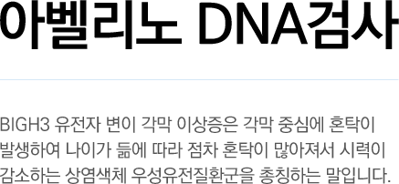 아벨리노 DNA검사